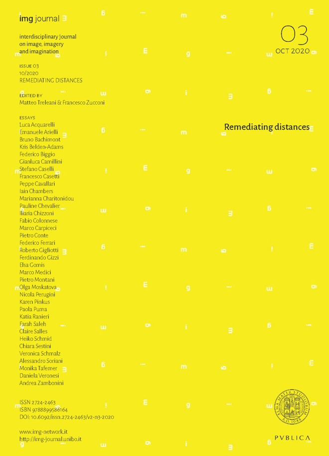 Book Cover: IMG Remediating distances